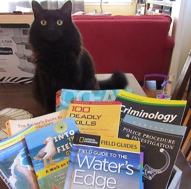 Cat with books, fun gifts for writers