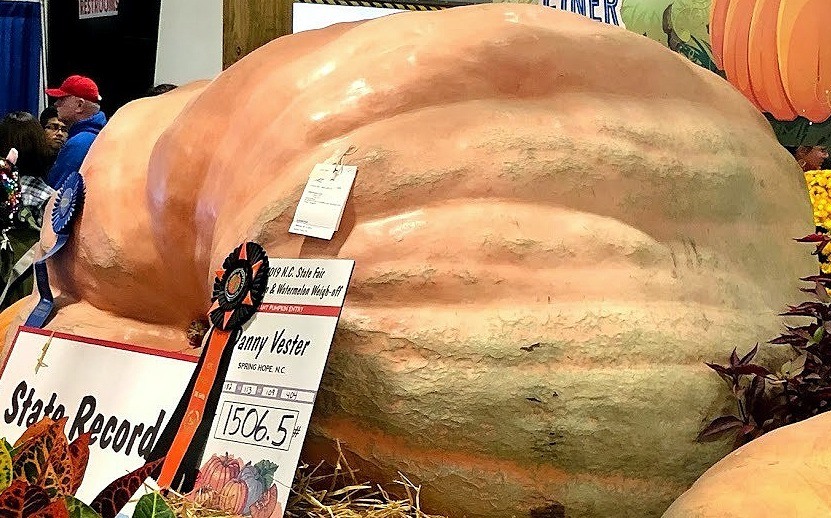 Huge Pumpkin