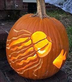 Jellyfish Pumpkin