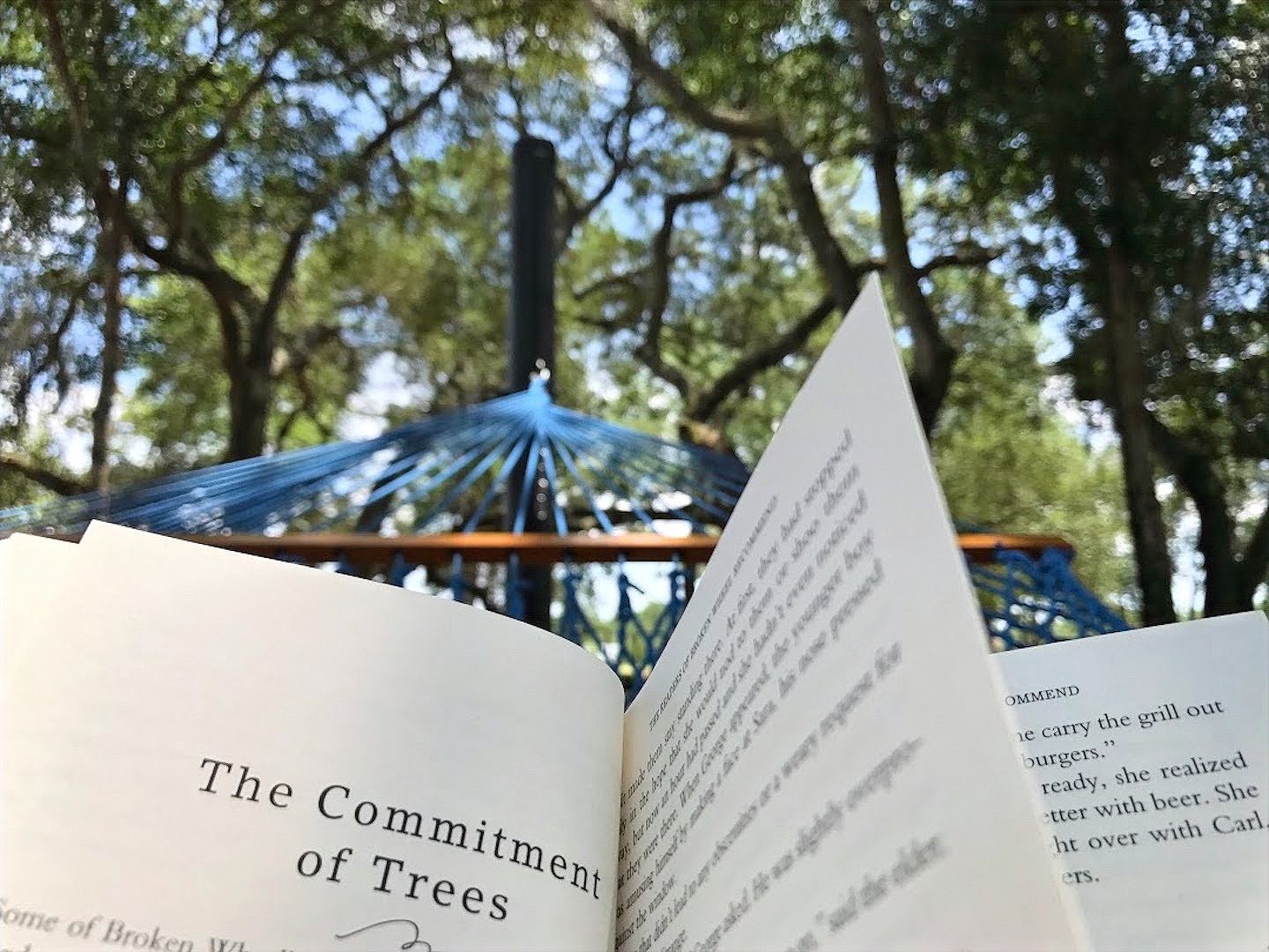 Reading book in a hammock