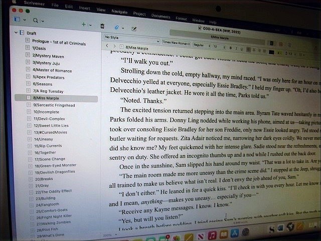 Scrivener example screenshot 