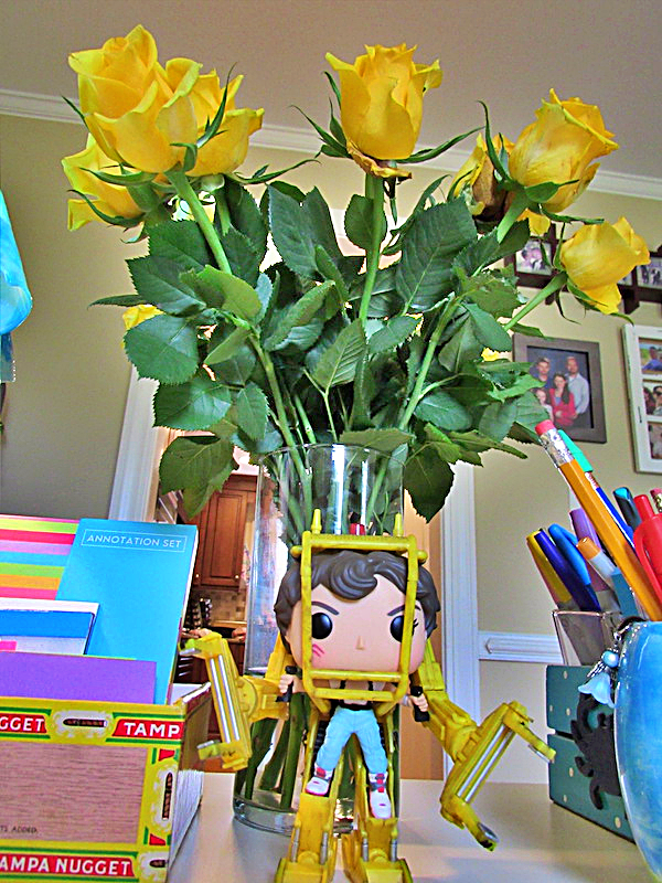 Mother's Day Roses and New Desk Toys